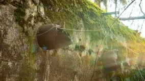 Mazury są pełne schronów i bunkrów z czasów I i II w.ś. - zdjęcie 8