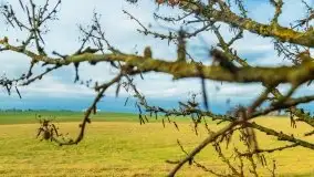 Mazury są pełne schronów i bunkrów z czasów I i II w.ś. - zdjęcie 39