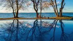 Jesienny Dargin pełen urokliwych kolorów - zdjęcie 1