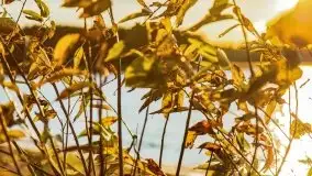 Jesienny Dargin pełen urokliwych kolorów - zdjęcie 21