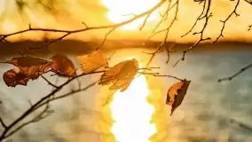 Jesienny Dargin pełen urokliwych kolorów - zdjęcie 43