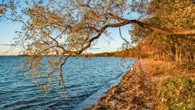 Jesienny Dargin pełen urokliwych kolorów - zdjęcie 34