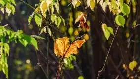 Mazurska złota jesień w Giżycku i okolicach - zdjęcie 34