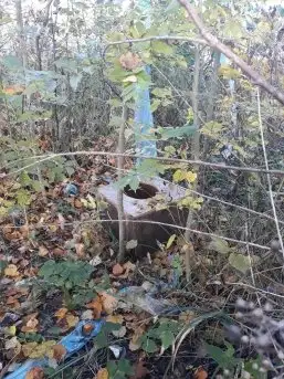 Szeroki Ostrów pełen śmieci - zdjęcie 7