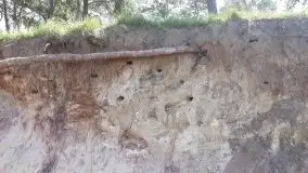 Szeroki Ostrów pełen śmieci - zdjęcie 6