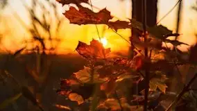 Zachód słońca nad jeziorem Kruklin, październik 2021 - zdjęcie 18