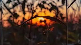 Zachód słońca nad jeziorem Kruklin, październik 2021 - zdjęcie 16