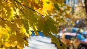 Jesienne klimaty w Pięknej Górze, jezioro Kisajno - zdjęcie 16