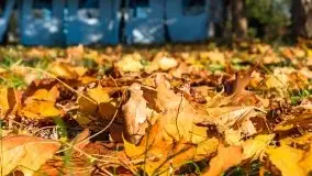 Jesienne klimaty w Pięknej Górze, jezioro Kisajno - zdjęcie 5