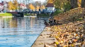 Kanał Łuczański w barwach jesieni, październik 2021 r. - zdjęcie 8