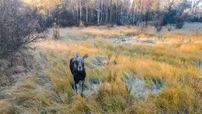 Wschód słońca nad jeziorem Kruklin, październik 2021 r. - zdjęcie 42