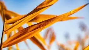 Wschód słońca nad jeziorem Kruklin, październik 2021 r. - zdjęcie 68