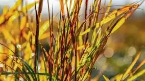 Wschód słońca nad jeziorem Kruklin, październik 2021 r. - zdjęcie 70