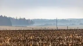 Wschód słońca nad jeziorem Kruklin, październik 2021 r. - zdjęcie 47