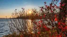 Zachód słońca w Rynie nad jeziorem Ryńskim, październik 2021 r. - zdjęcie 30