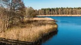 Resztki złotej jesieni w Okartowie - zdjęcie 3