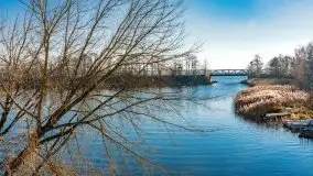 Resztki złotej jesieni w Okartowie - zdjęcie 15