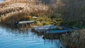 Resztki złotej jesieni w Okartowie - zdjęcie 13