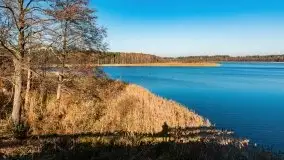 Resztki złotej jesieni w Okartowie - zdjęcie 6