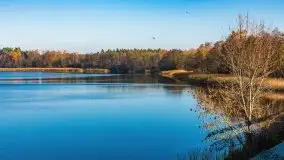 Resztki złotej jesieni w Okartowie - zdjęcie 8