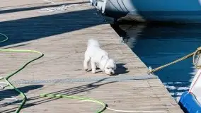 Jesienna Stranda i jezioro Kisajno - zdjęcie 33