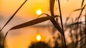 Wschód słońca nad jeziorami Niegocin i Grajewko w Bystrym - zdjęcie 58