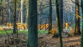 Las miejski w Giżycku pod koniec jesieni, listopad 2021 r. - zdjęcie 15