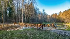 Las miejski w Giżycku pod koniec jesieni, listopad 2021 r. - zdjęcie 16