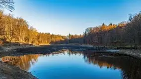 Las miejski w Giżycku pod koniec jesieni, listopad 2021 r. - zdjęcie 23