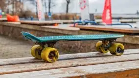 Fotorelacja z sprzątania dna w Ekomarinie Giżycko - zdjęcie 2