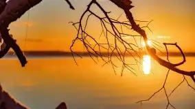 Grudniowy wschód słońca nad jeziorem Niegocin - zdjęcie 62