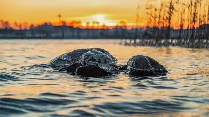 Zachód słońca nad jeziorem Święcajty, grudzień 2021 r.