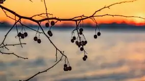 Zachód słońca nad jeziorem Święcajty, grudzień 2021 r. - zdjęcie 34