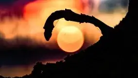 Grudniowy zachód słońca nad jeziorem Kisajno 2021 - zdjęcie 34