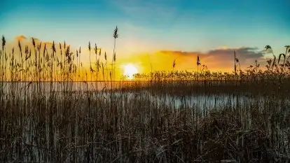 Wschód słońca nad jeziorem Niegocin, krzyż św. Brunona
