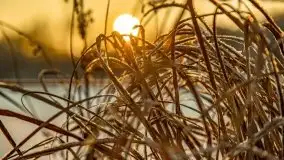 Zimowy wschód i południe w Strandzie nad jeziorem Kisajno - zdjęcie 41