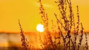 Wschód słońca nad jeziorem Łabap w Radziejach - zdjęcie 23