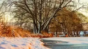 Wschód słońca nad jeziorem Łabap w Radziejach - zdjęcie 28