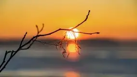 Styczniowy zachód słońca nad jeziorem Święcajty, 2022 r. - zdjęcie 34