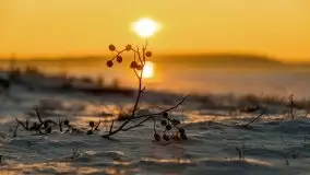 Styczniowy zachód słońca nad jeziorem Święcajty, 2022 r. - zdjęcie 19