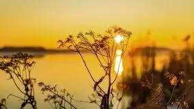 Styczniowy zachód słońca nad jeziorem Święcajty, 2022 r. - zdjęcie 38