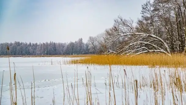 Księżycowy Dworek i jezioro Siercze w okowach zimy - zdjęcie 3