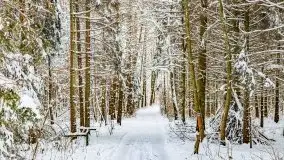 Księżycowy Dworek i jezioro Siercze w okowach zimy - zdjęcie 37