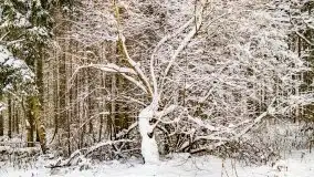 Księżycowy Dworek i jezioro Siercze w okowach zimy - zdjęcie 30