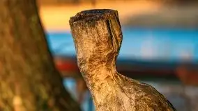 Wschód słońca nad jeziorami Boczne i Niegocin, styczeń 2022 r. - zdjęcie 54