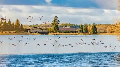 Słoneczny styczeń 2022 nad jeziorami Świętajno i Dworackie