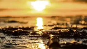 Styczniowe słońce, jezioro Dargin i kra... - zdjęcie 22