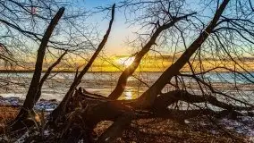 Styczniowe słońce, jezioro Dargin i kra... - zdjęcie 15