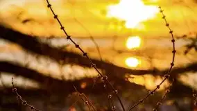 Styczniowe słońce, jezioro Dargin i kra... - zdjęcie 13