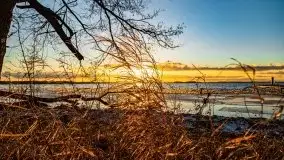 Styczniowe słońce, jezioro Dargin i kra... - zdjęcie 19